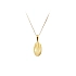 Golden Pendant