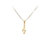 Gold Pendant Note