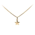 Gold Star Pendant with Zircon