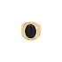 Gold Men's Sealing Ring with Onyx