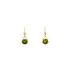 Gold Earrings with Zircons