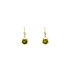 Gold Earrings with Zircons