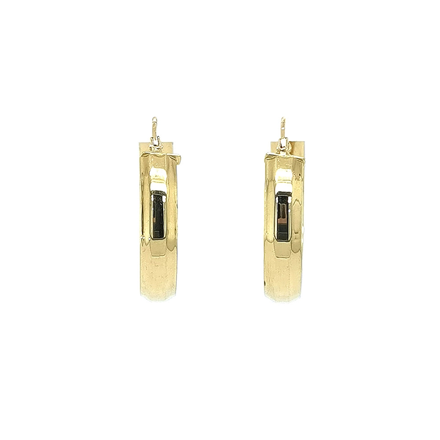 Elegant gold hoop earrings