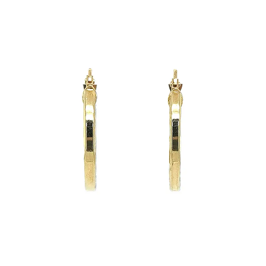 Elegant gold hoop earrings