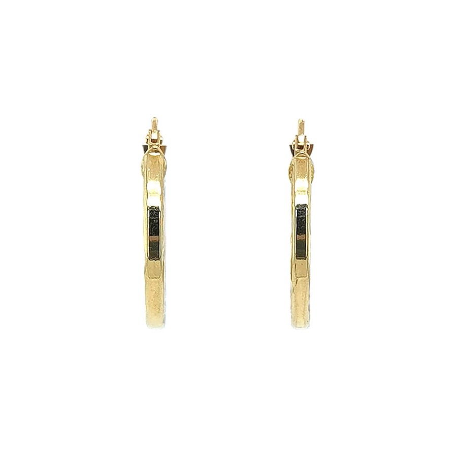 Elegant gold hoop earrings