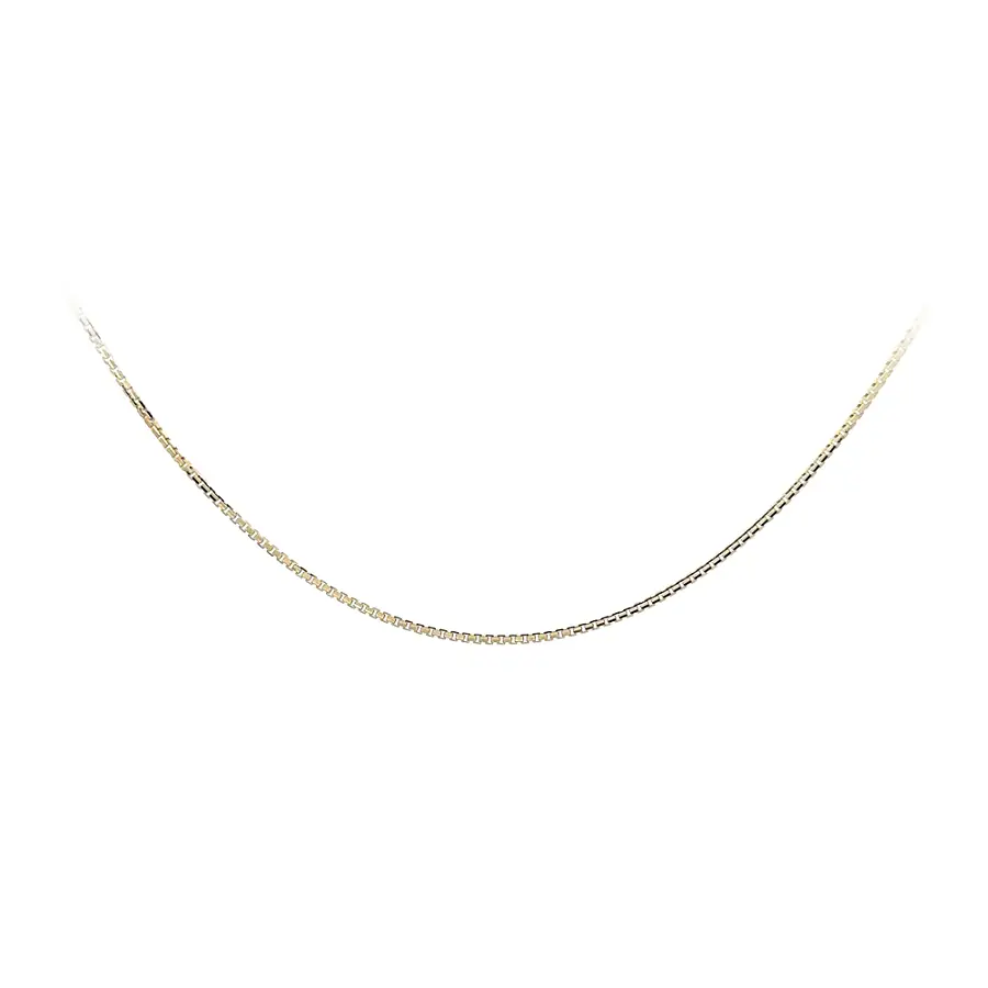 Delicate Gold Box Chain