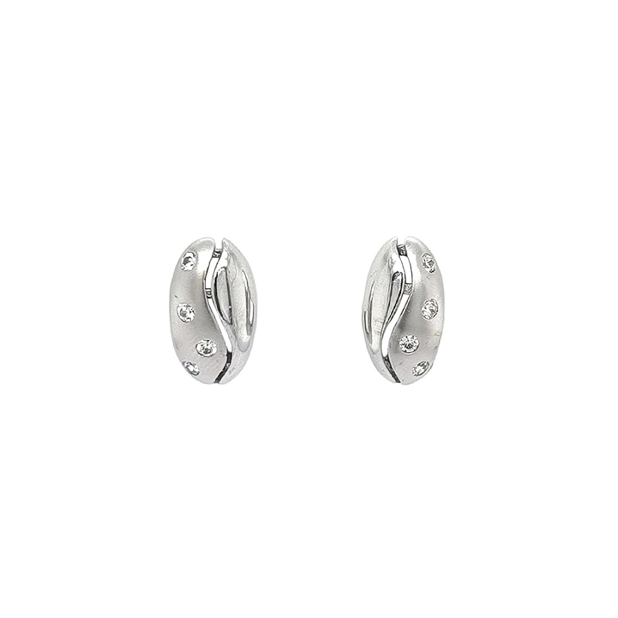 Earrings with White Gold Zircons