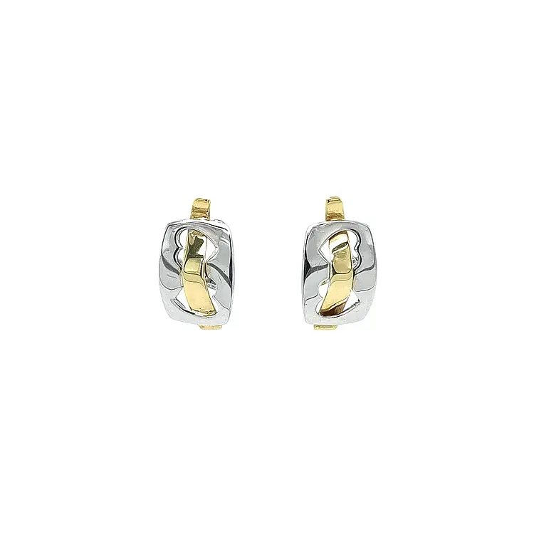 Earrings made of Combination Gold