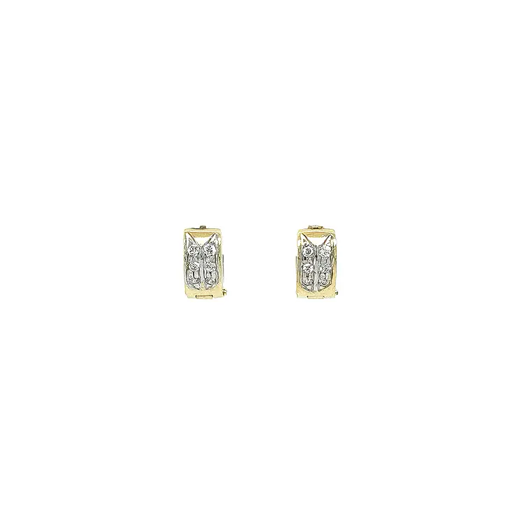 Gold Earrings with Zircons