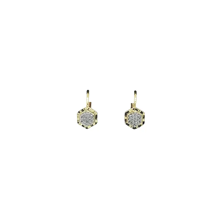 Gold Earrings with Zircons