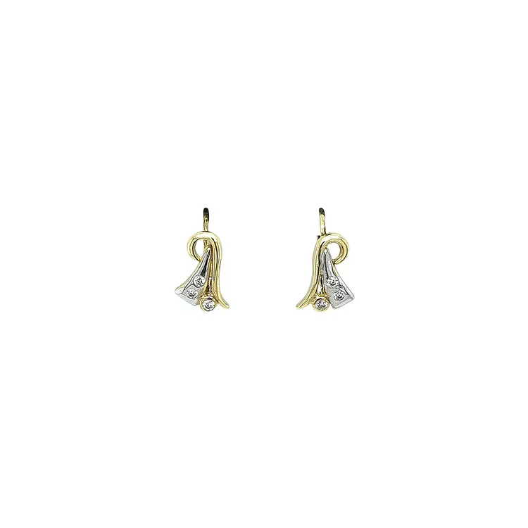 Earrings with Zircones in Gold