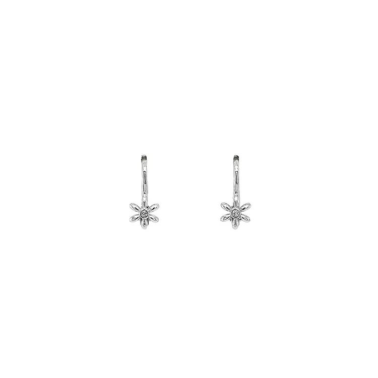 Earrings with White Gold Zircons