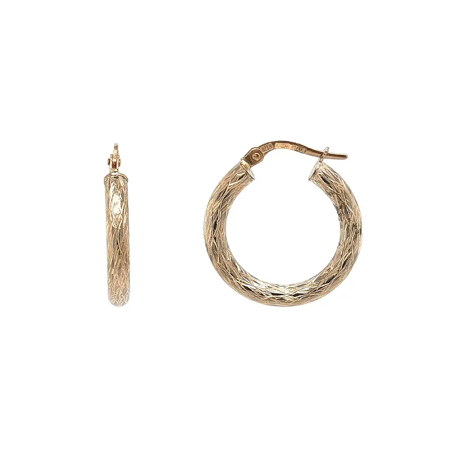 Elegant Gold Hoop Earrings