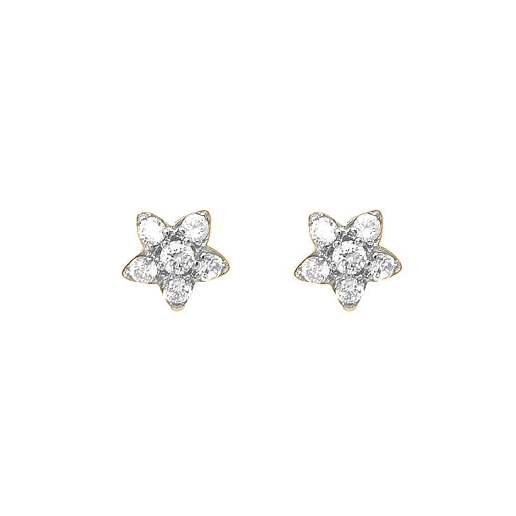 Gold Earrings with Zircons