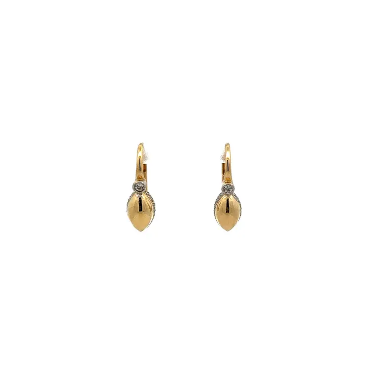 Earrings with Zircones in Gold