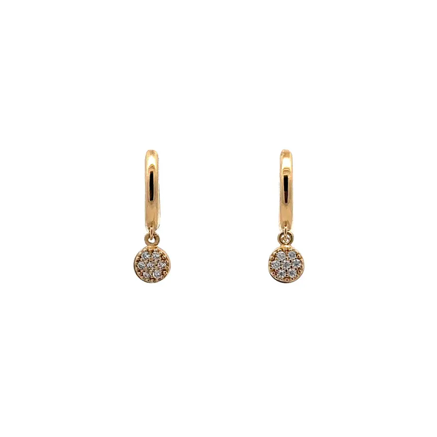 Gold Circular Earrings with Zircons