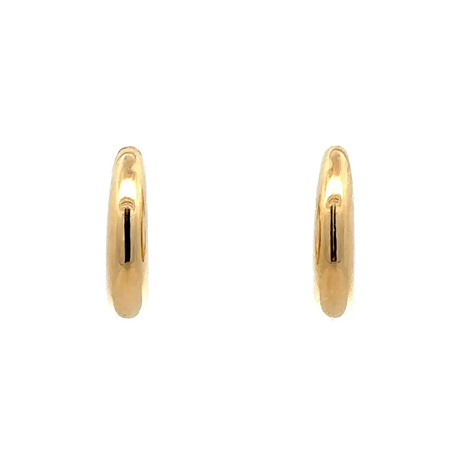 Gold Semi-circular Earrings