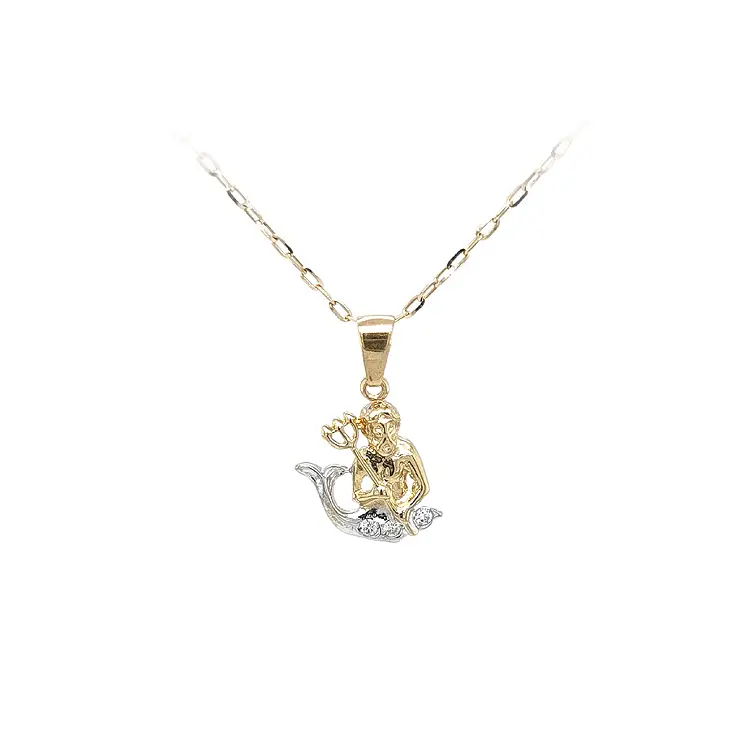 Gold Pendant Aquarius