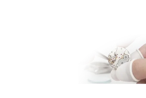 Professional Service